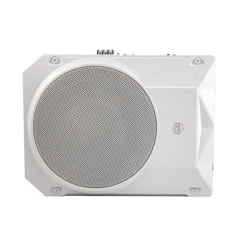 ساب ووفر ال اس آدیو مدل LS-10Pro سایز ۱۰ اینچ — تصویر ۲