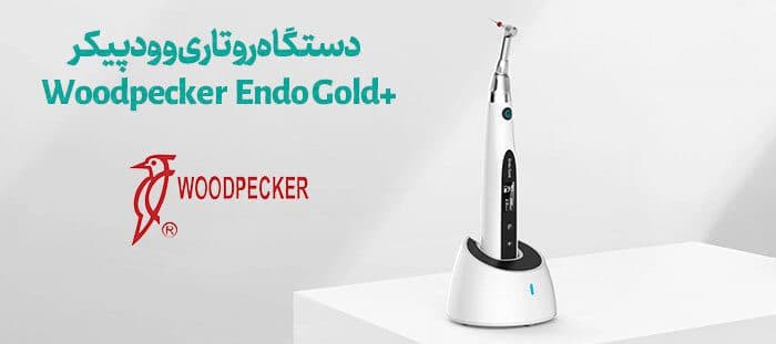اندو روتاری اندو اسمارت گلد وودپیکر Endo Smart Gold — تصویر ۱۱