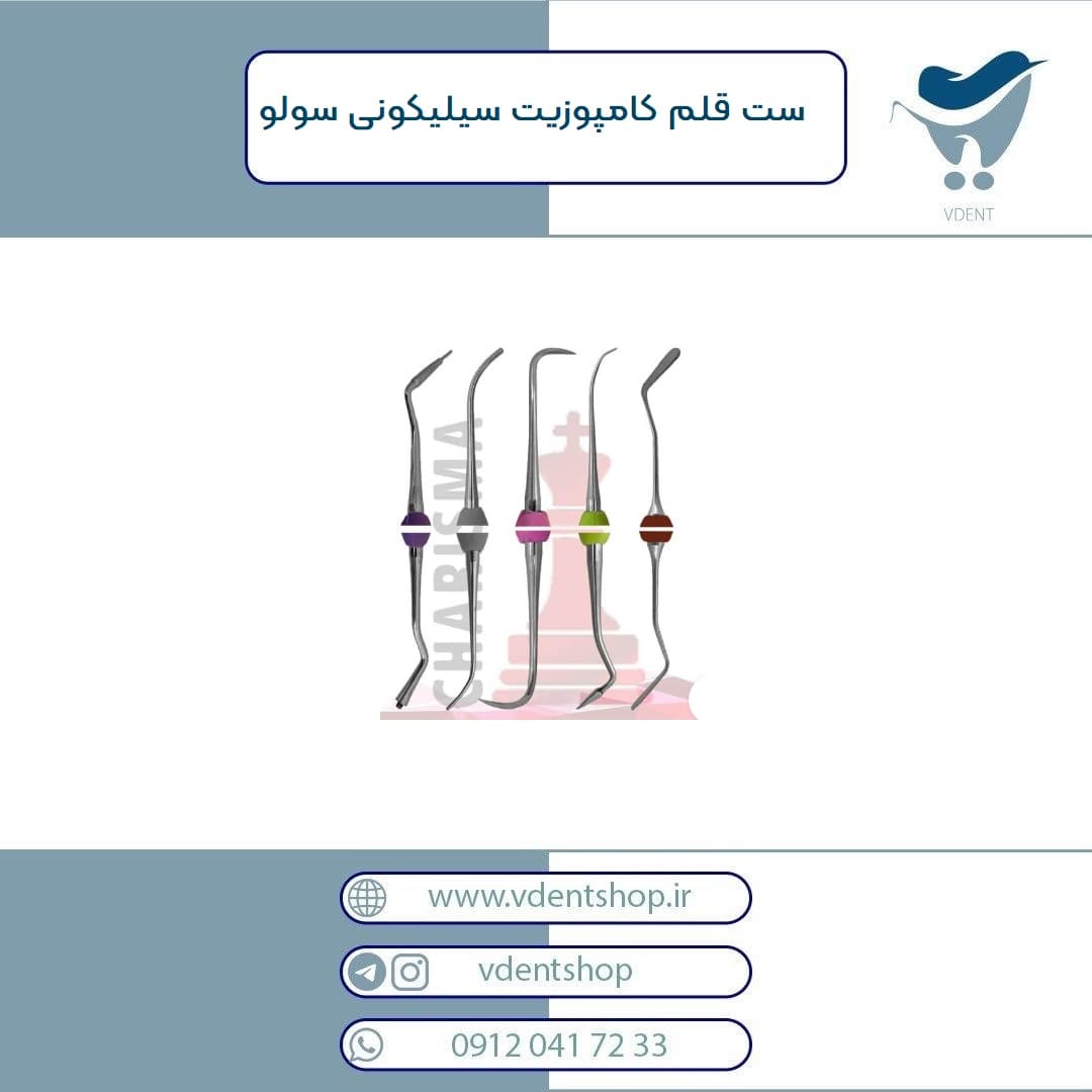 ست قلم کامپوزیت سیلیکونی سولو کاریزما مدل LM ( به همراه بسکت ) — تصویر ۲