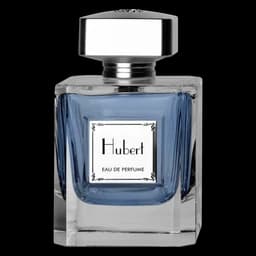 ادوپرفیوم مردانه تراست مدل Hubert — تصویر ۵