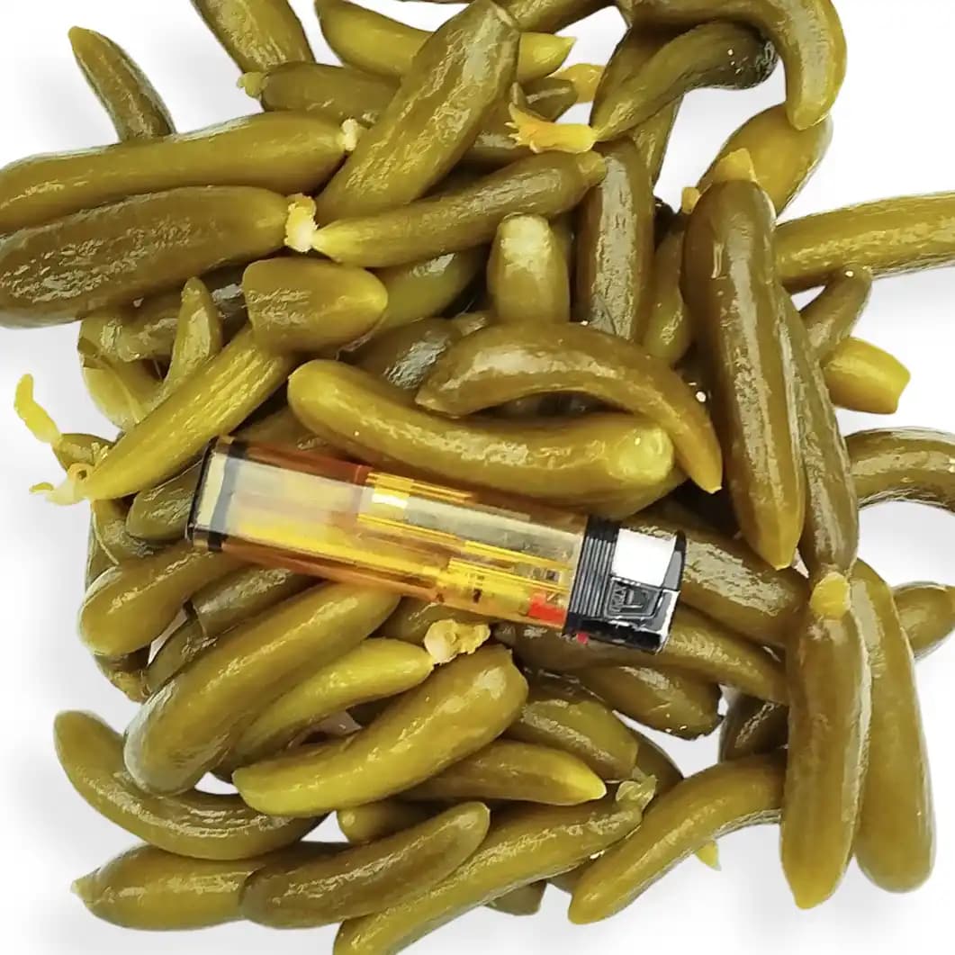 خیار شور سوپر ویژه پت 5 کیلویی — تصویر ۲