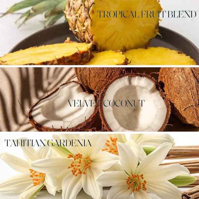 موس برنزه کننده tropical colada سنت تروپز — تصویر ۸