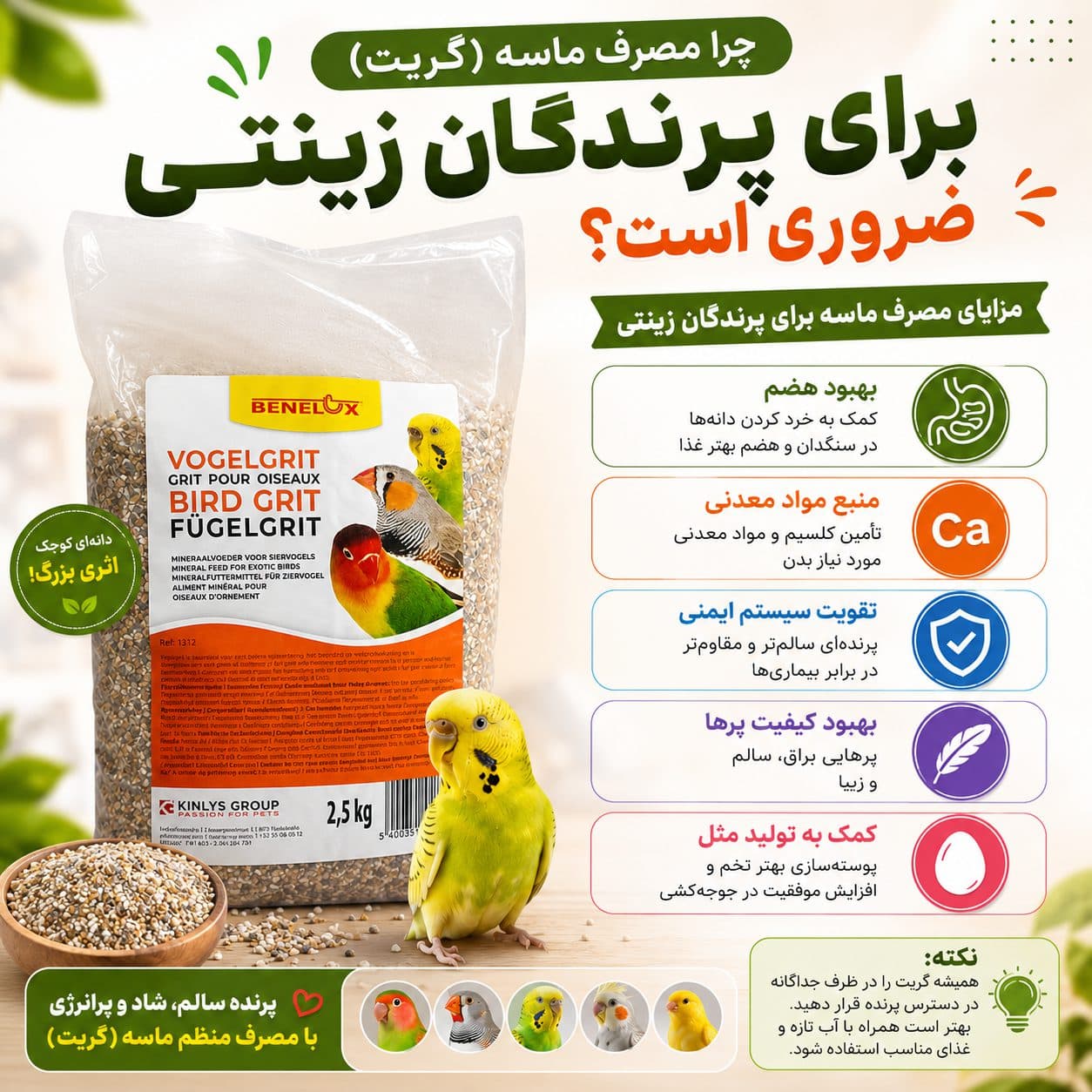 شن و ماسه صدفی بنلوکس BENELUX Grit Sand — تصویر ۲