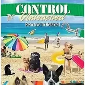 دانلود کتاب Control Unleashed Reactive To Relaxed – کنترل رها شده واکنشی به آرام