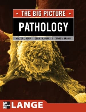 دانلود کتاب Pathology The Big Picture K Burns, Travis G Brown, and Walter L — تصویر ۳