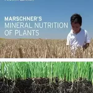 دانلود کتاب Marschner’s Mineral Nutrition of Plants – تغذیه معدنی گیاهان مارشنر