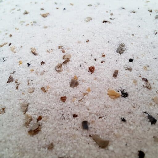 شن و ماسه سفید بنلوکس Benelux SHELL SAND — تصویر ۲