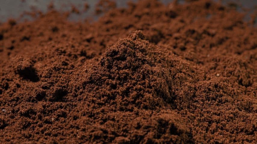 پودر قهوه ترک اسپشیالیتی — تصویر ۳