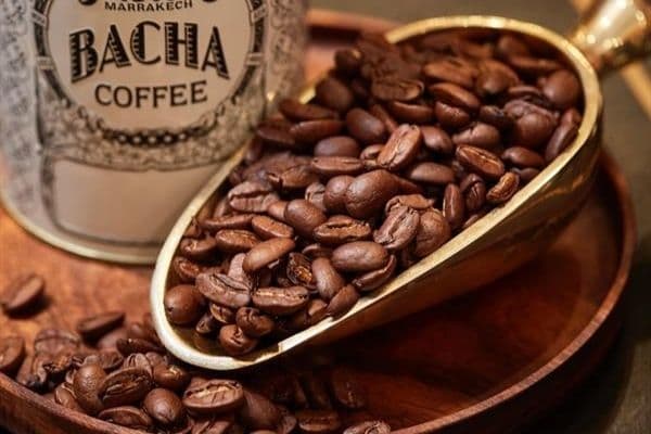 قهوه اسپشیالیتی ماراگو — تصویر ۲