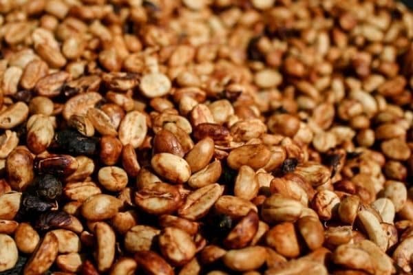 قهوه اسپشیالیتی هانی چالا — تصویر ۲