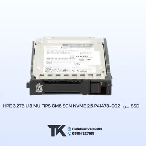 SSD سرور HPE 3.84TB NVMe Gen4 High Performance RI SFF BC U.3 PM1733 P40566-B21 — تصویر ۳