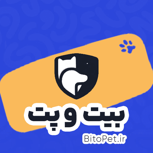 پوچ گربه رنال ماهی رویال کنین — تصویر ۶