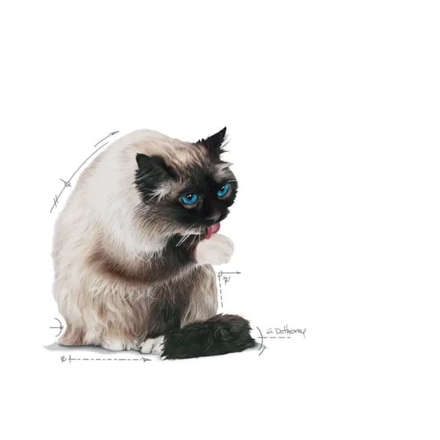 پوچ گربه هیربال رویال کنین (ضد گلوله مویی) — تصویر ۸