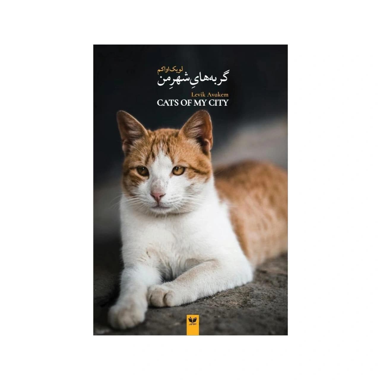 کتاب گربه‌های شهر من نوشته لویک اواکم — تصویر ۲