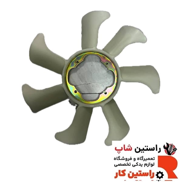 پروانه رونیز چین — تصویر ۳