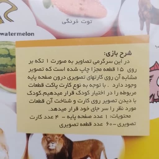زاغک بازی کمک آموزشی هوش چین یک تکه — تصویر ۴