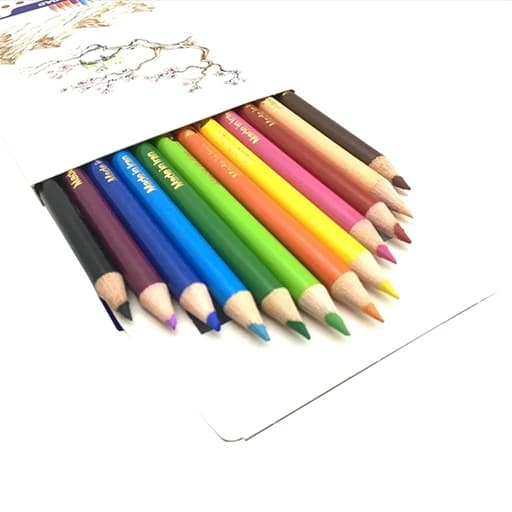 Pars Medad پارس مداد رنگی 12 رنگ چوب گرد جعبه مقوایی 22666 — تصویر ۵