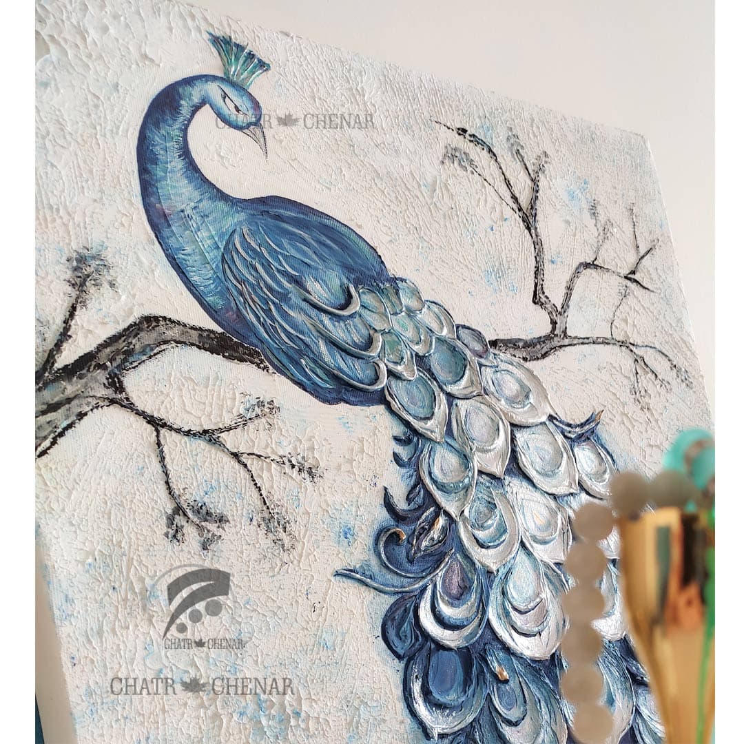 طاووس — تصویر ۶
