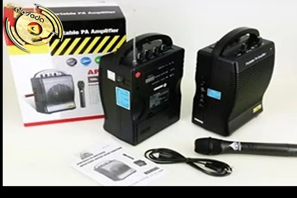 اکو پرتابل دی اند دی D&D AP-850 با میکروفون بی سیم