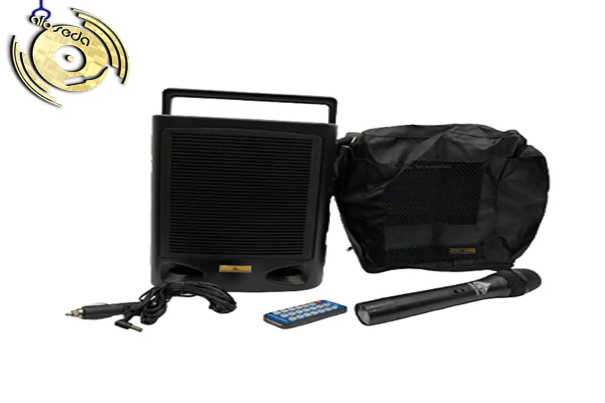 اکو پرتابل دی اند دی D&D AP910 با میکروفون بی سیم — تصویر ۵