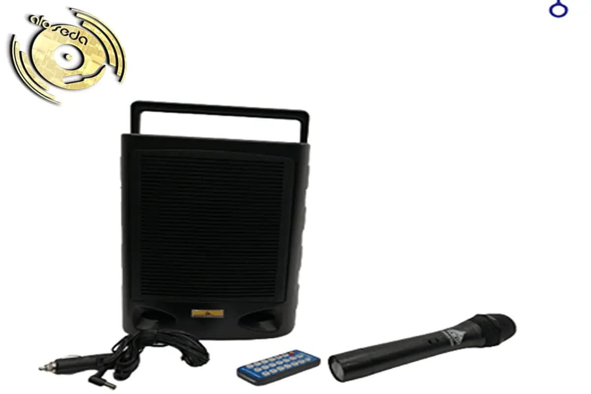 اکو پرتابل دی اند دی D&D AP910 با میکروفون بی سیم