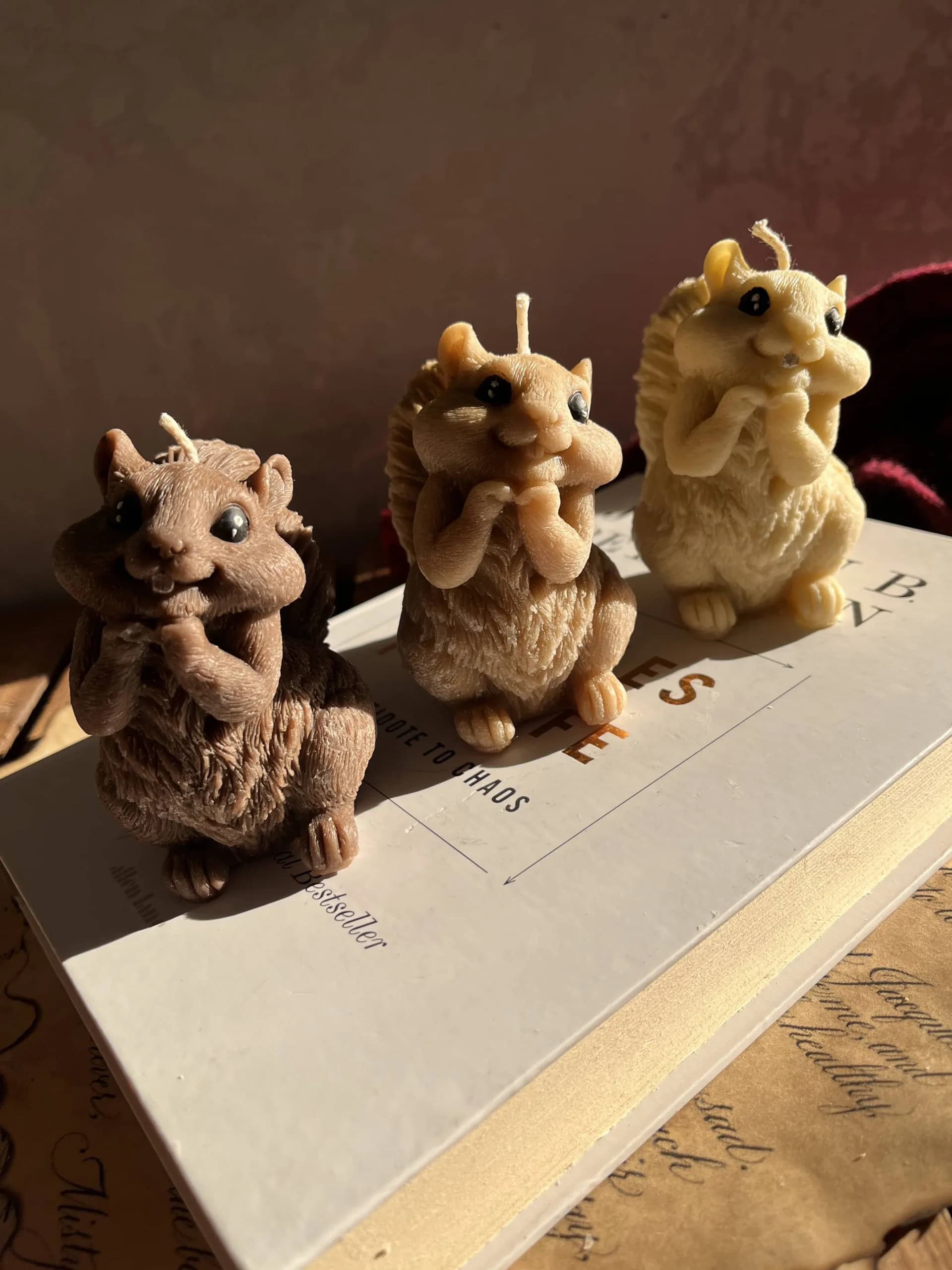 شمع سنجاب بامزه — تصویر ۴