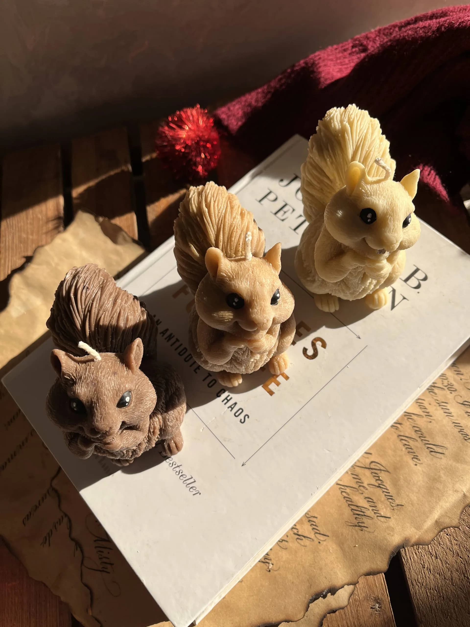 شمع سنجاب بامزه — تصویر ۵
