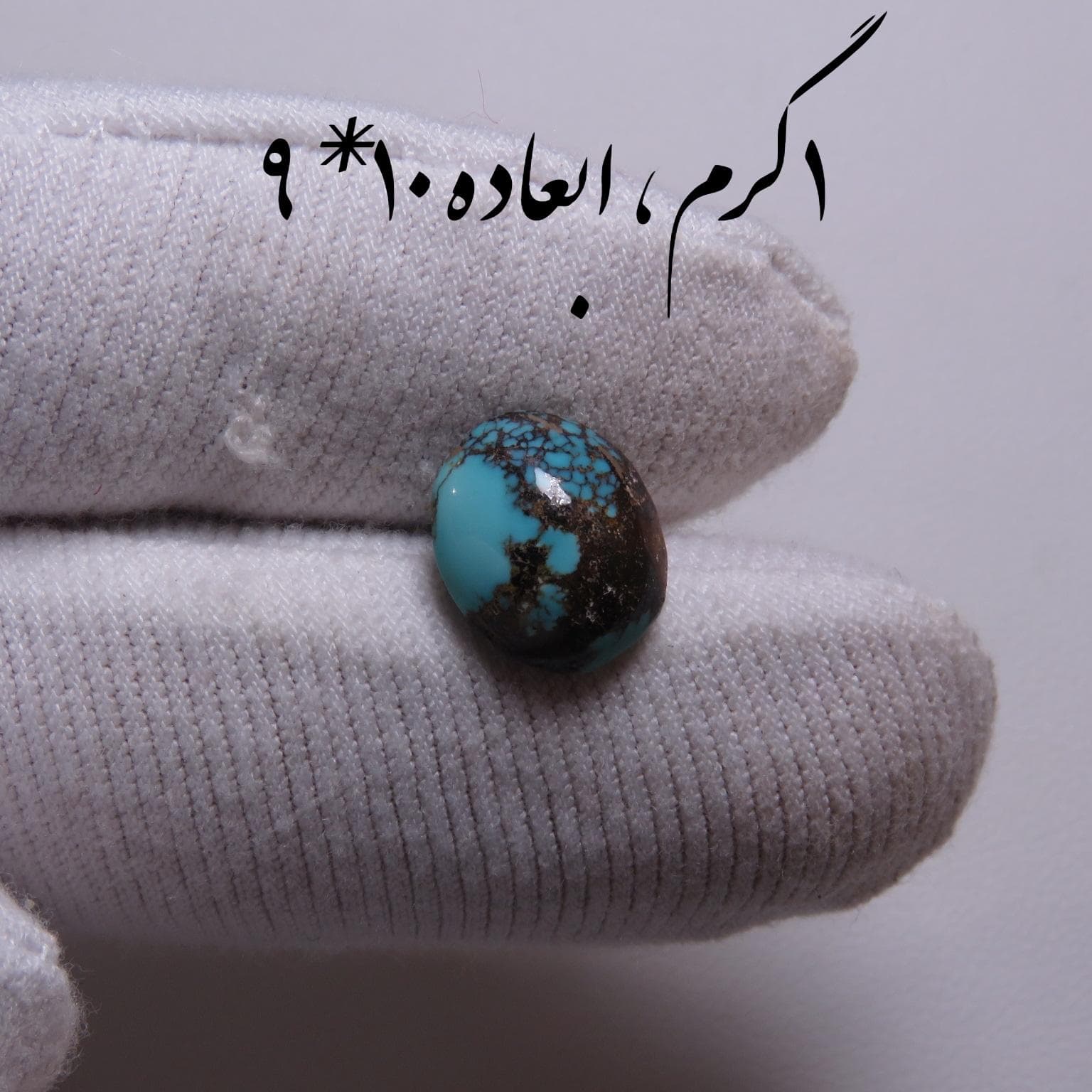 فیروزه ابی شجر عنکبوتی اصل033