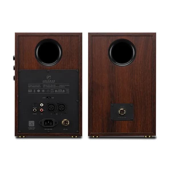 بوکشلف اکتیو SWAN مدل D200 — تصویر ۲