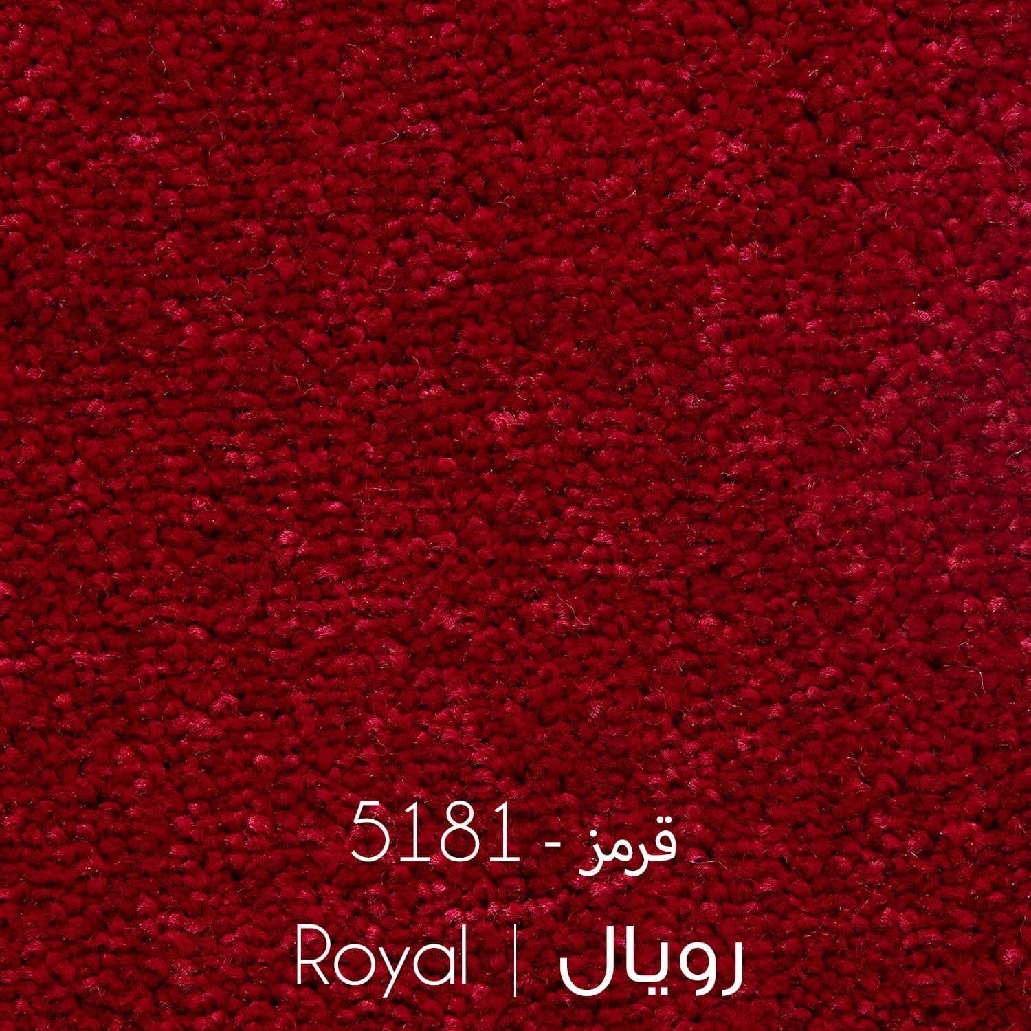 موکت رویال 5181 ظریف مصور