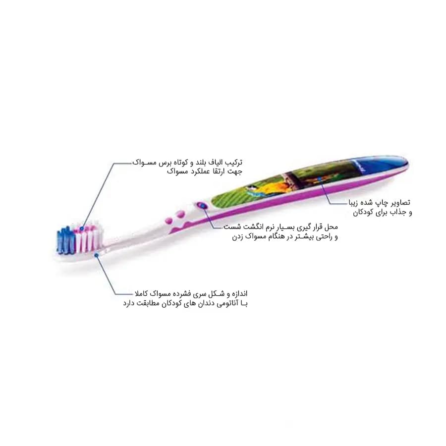 پک دو عددی مسواک Young Eddition تریزا — تصویر ۳