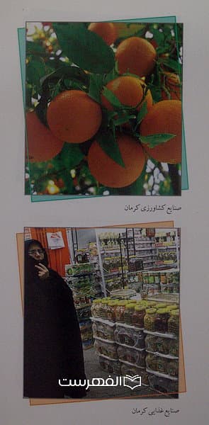 کرمانشناسی (اقتصاد (کشاورزی، صنعت و معدن))5 — تصویر ۳