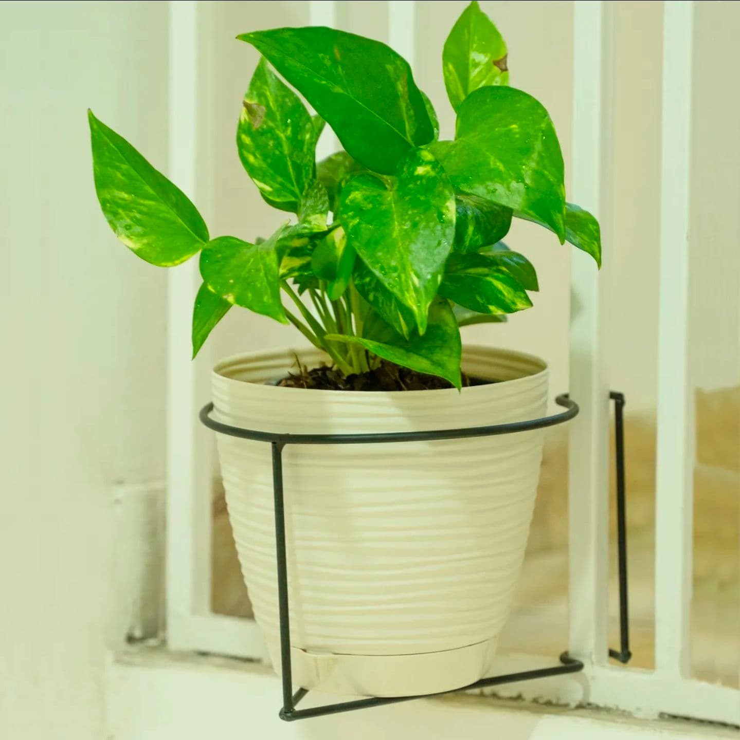 استند نرده ای فلزی مثلثی