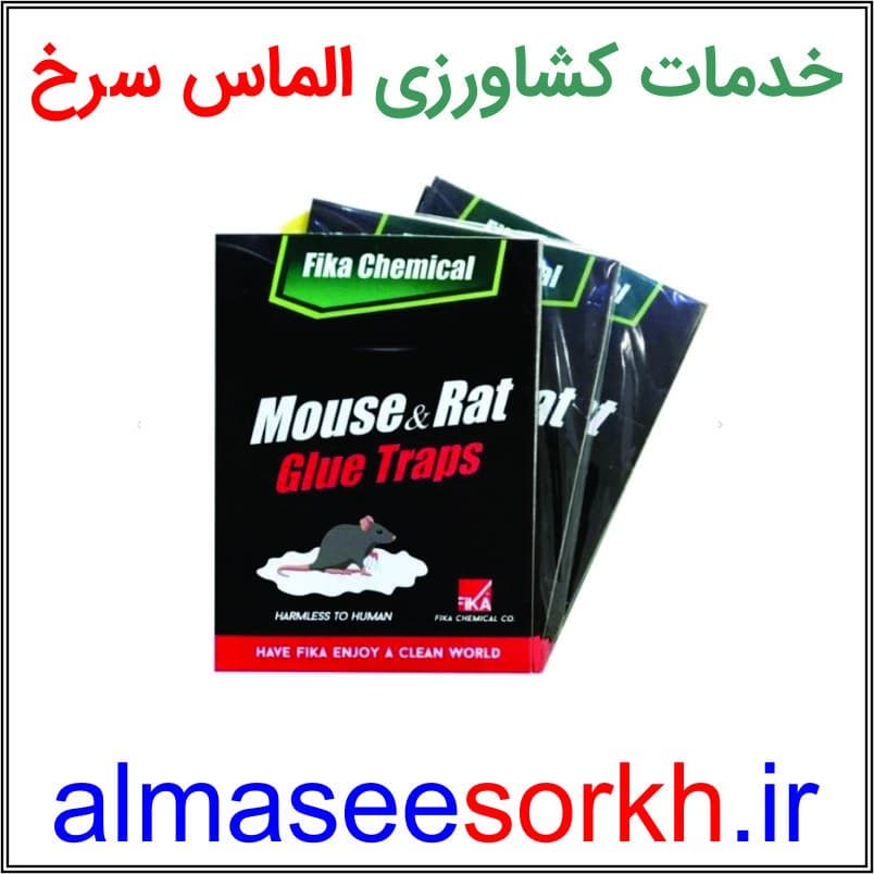 چسب موش بسیار قوی بسته 5 عددی — تصویر ۴