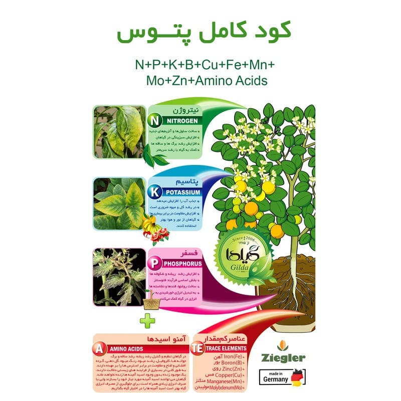 کود کامل پتوس گیلدا مدل NPK وزن 25 گرم — تصویر ۱۱