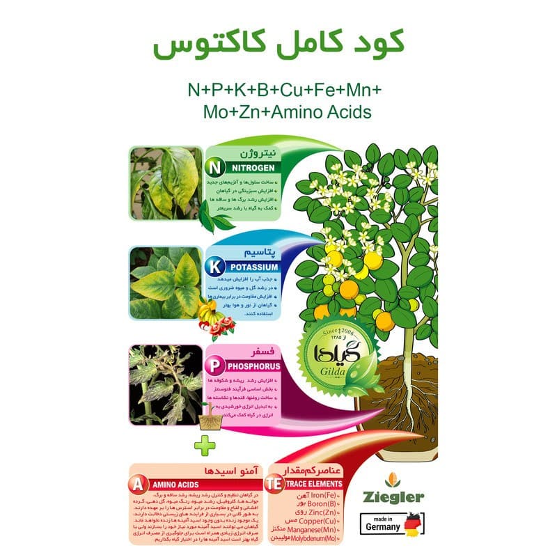 کود کامل کاکتوس گیلدا مدل NPK وزن 25 گرم — تصویر ۵
