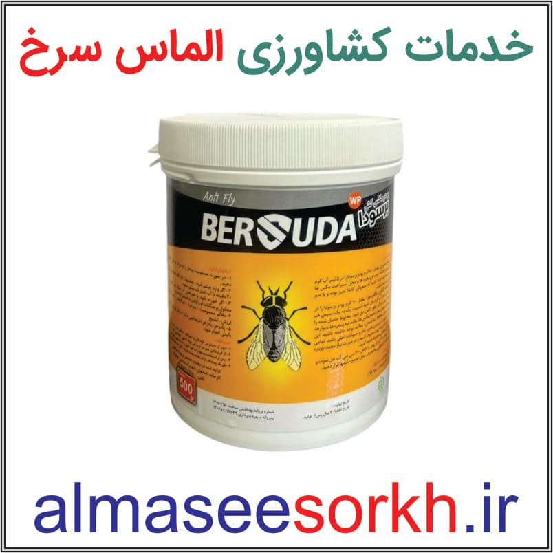 پودر مگس کش برسودا بسیار قوی و قدرتمند 500 گرمی — تصویر ۲