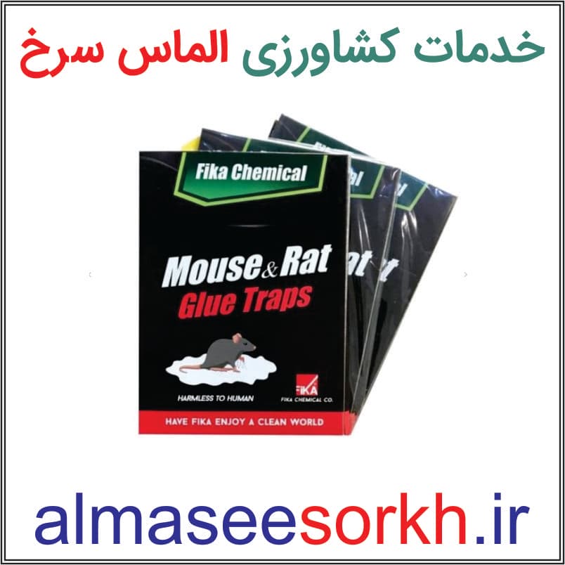 چسب موش کتابی بسیار قوی فیکا