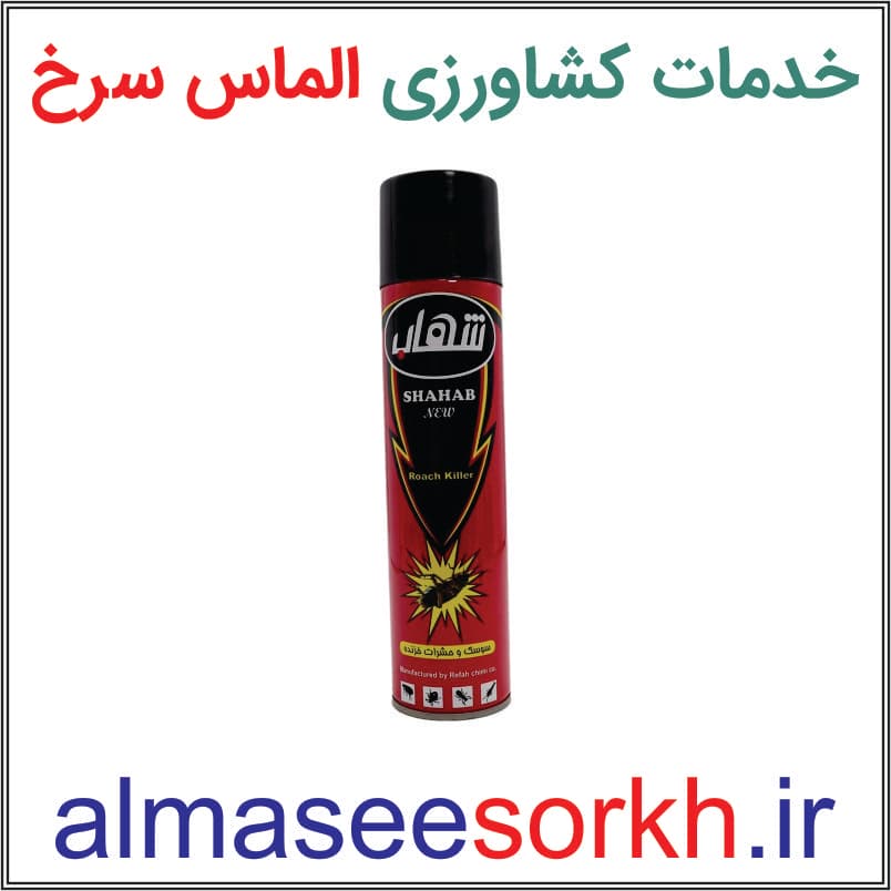 کارتن 24 عددی اسپری سوسک کش شهاب حجم 400 سی سی(انقضاء 1406)