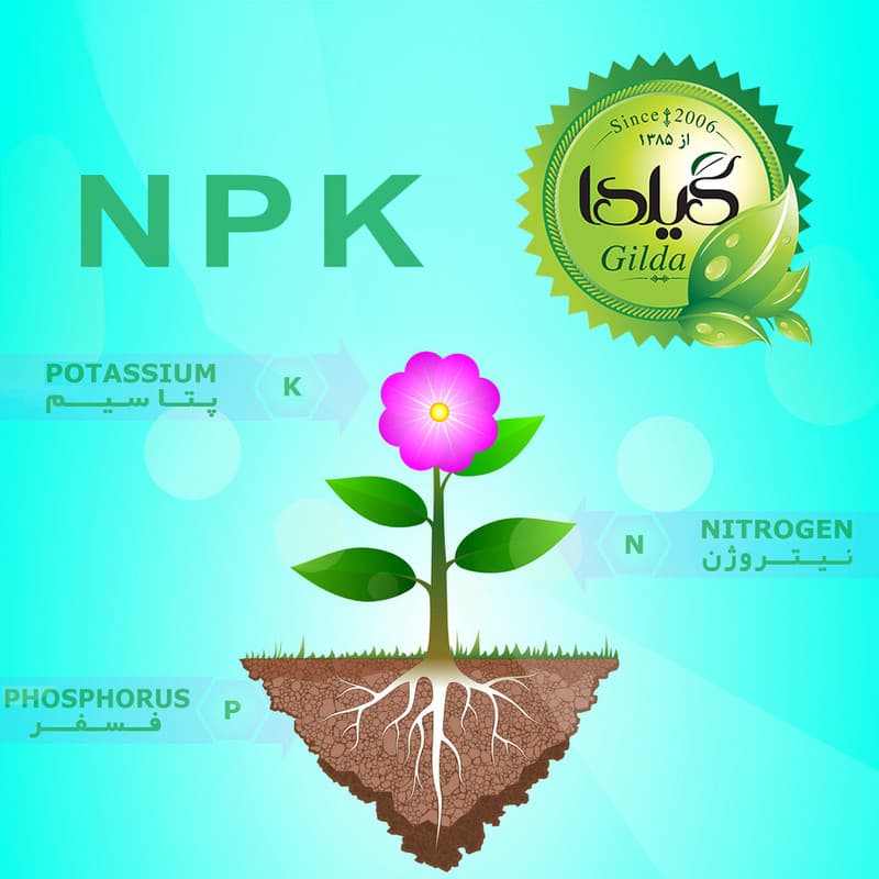 کود کامل NPK ریشه زایی+ گیلدا مدل فسفر بالا 10-52-10 وزن 25 گرم — تصویر ۷