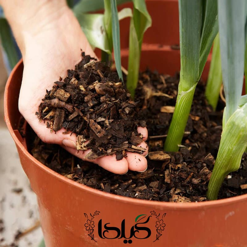 مالچ گیلدا کد GM04L حجم 4 لیتر — تصویر ۹