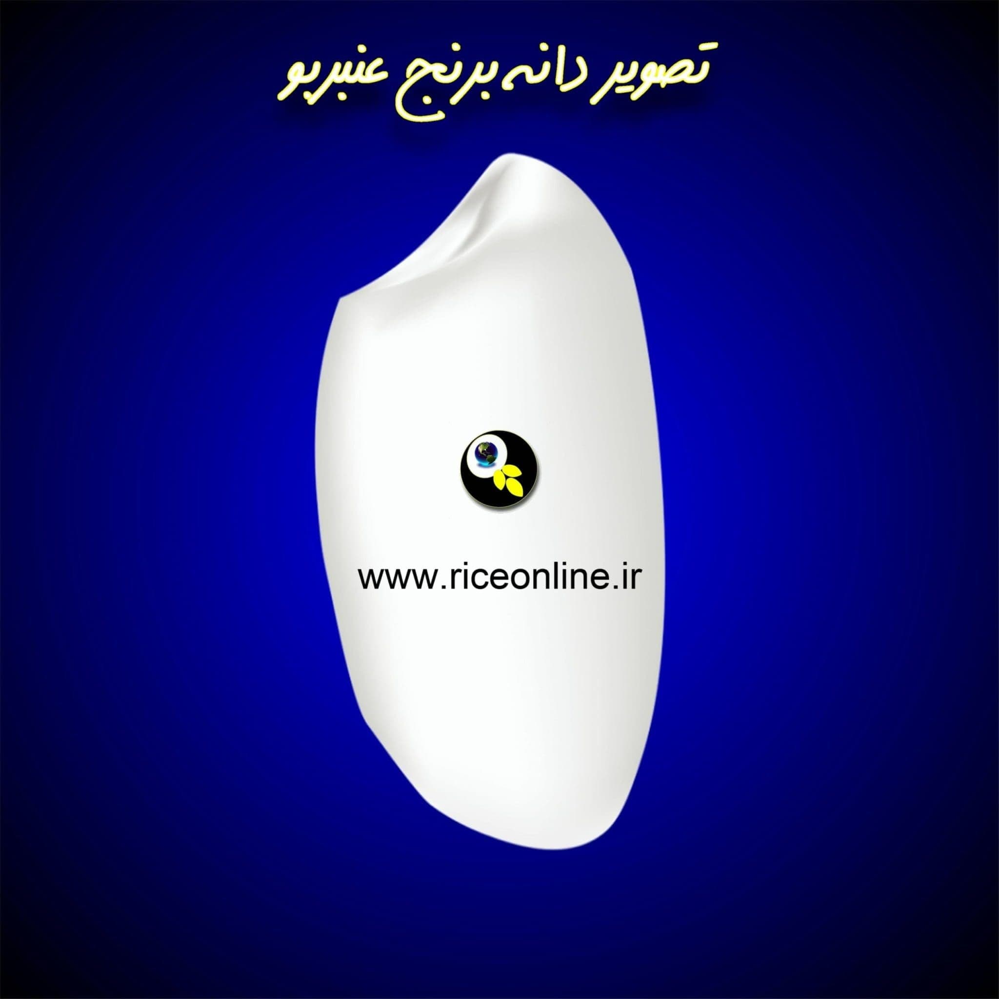 برنج عنبربو 3 کیلوگرم برنج آنلاین — تصویر ۷