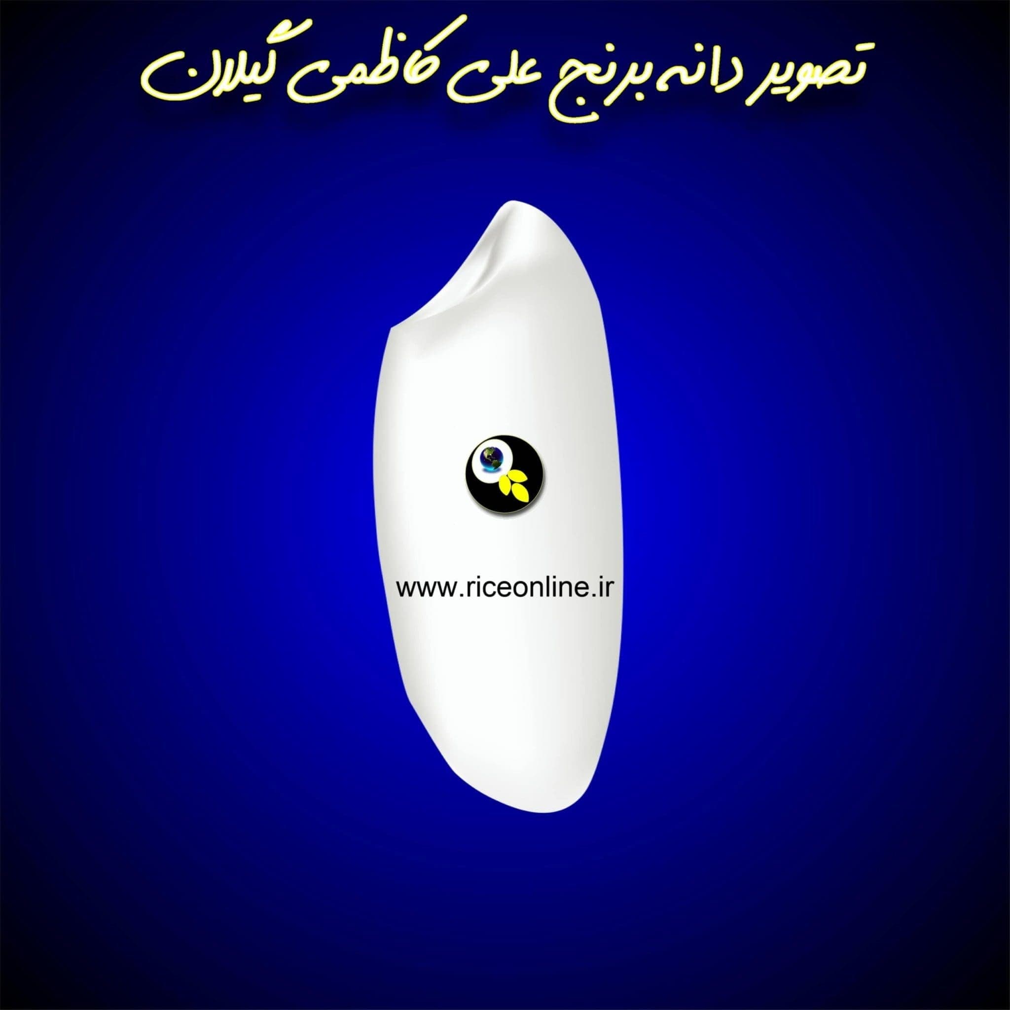 برنج علی کاظمی گیلان 20 کیلوگرم برنج آنلاین — تصویر ۳