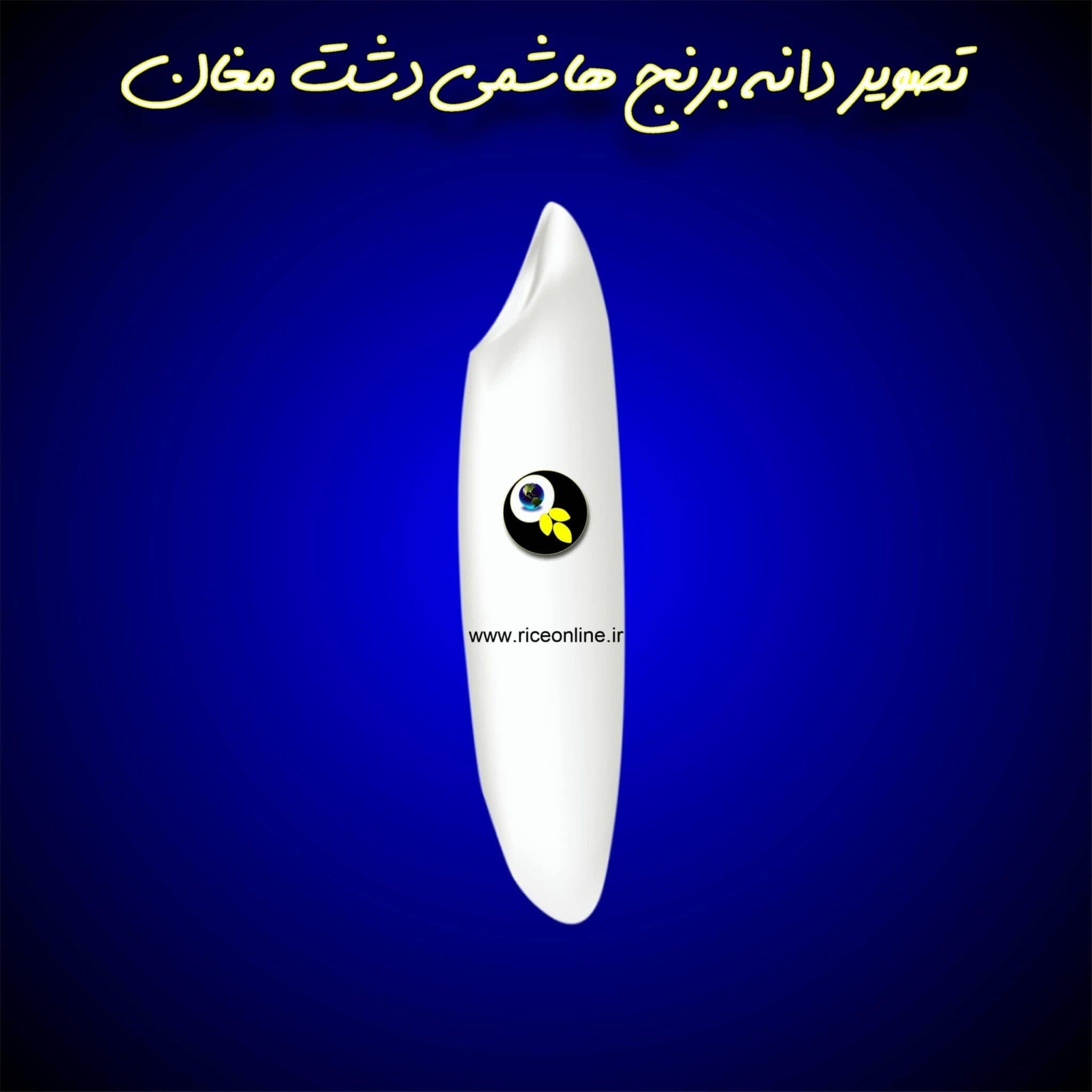 برنج هاشمی دشت مغان 20 کیلوگرم برنج آنلاین — تصویر ۳