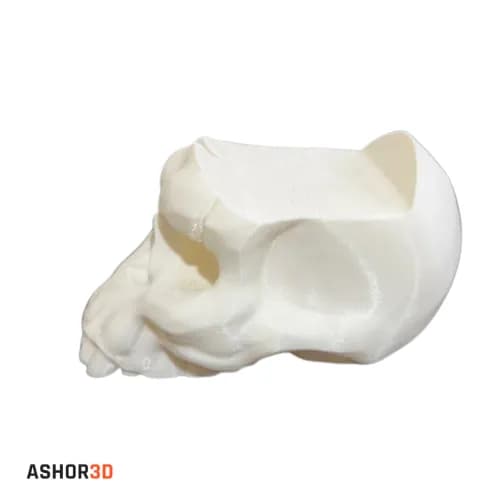استند دسته پلی استیشن 5 مدل Skull — تصویر ۲