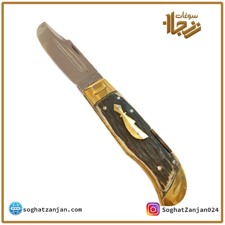 چاقوی ضامن دار موسوی در زنجان — تصویر ۸