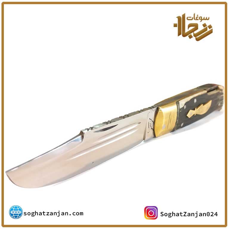 چاقوی ضامن دار موسوی در زنجان — تصویر ۵