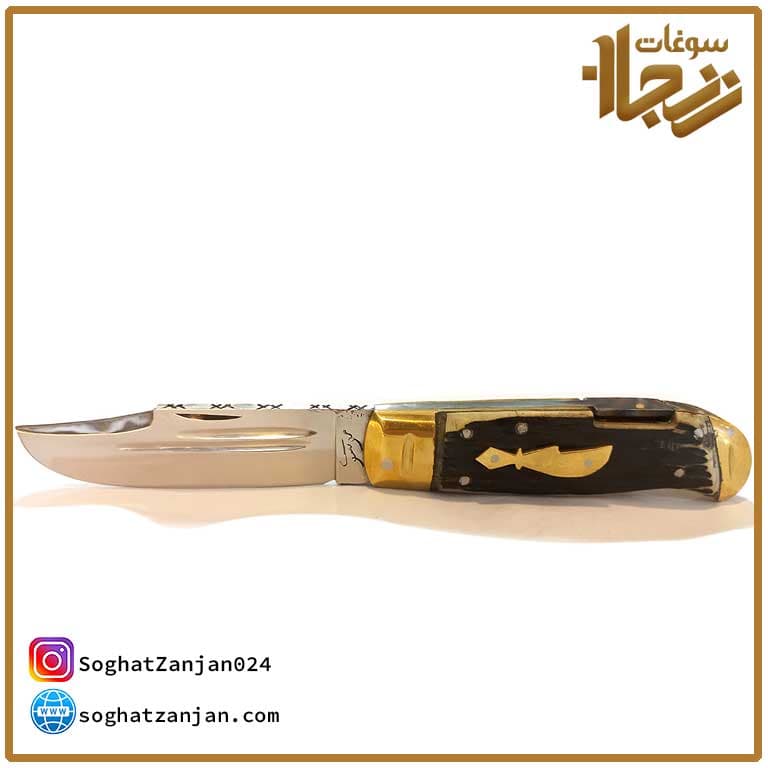 چاقوی ضامن دار موسوی در زنجان — تصویر ۷