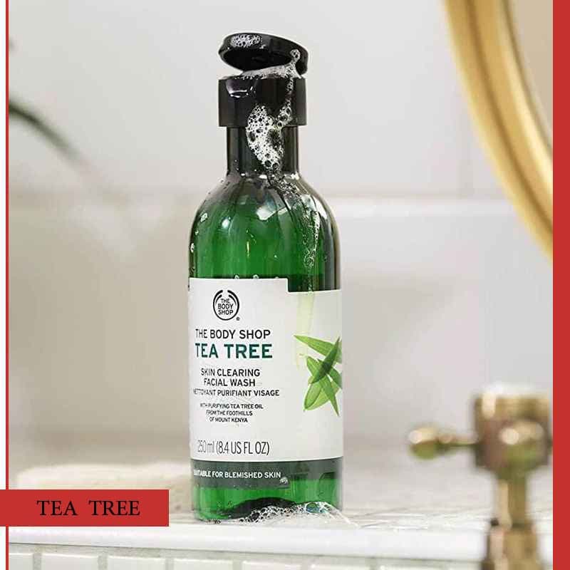 ژل بادی شاپ تی تری حجم 250 میل The Body Shop اورجینال — تصویر ۸