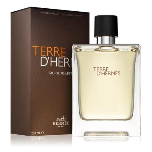 ادکلن مردانه تق هرمس حجم 100 میل Hermes Terre d’Hermes